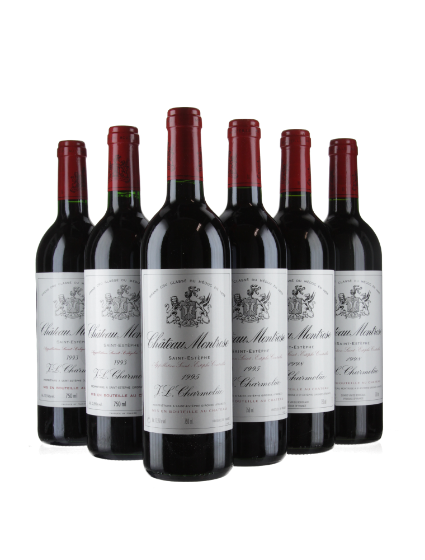 Montrose - Ex-Château Collection Case 3 (2x 75cl 1993/2x 75cl 1995/2x 75cl 1998)